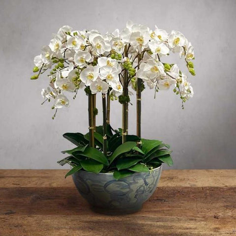 White Orchids in Painted Bowl Faux Floral Arrangement