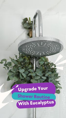 Upgrade Your Shower Routine with Eucalyptus