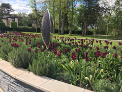 Tulips and Salvia surround David Harber Slate Sculpture