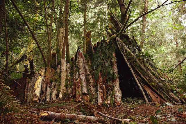 survival shelters leaf hut