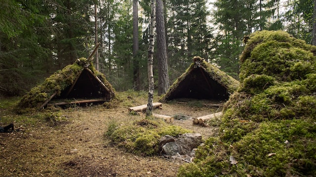 survival shelter wickiup