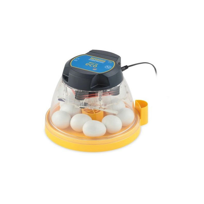 Maxi incubator large egg quadrants for 12 large eggs
