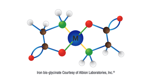 Iron Absorb by MYOXCIENCE