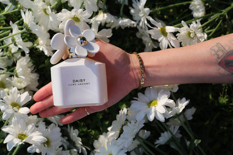 Perfume Daisy Limited Edition de Marc Jacobs