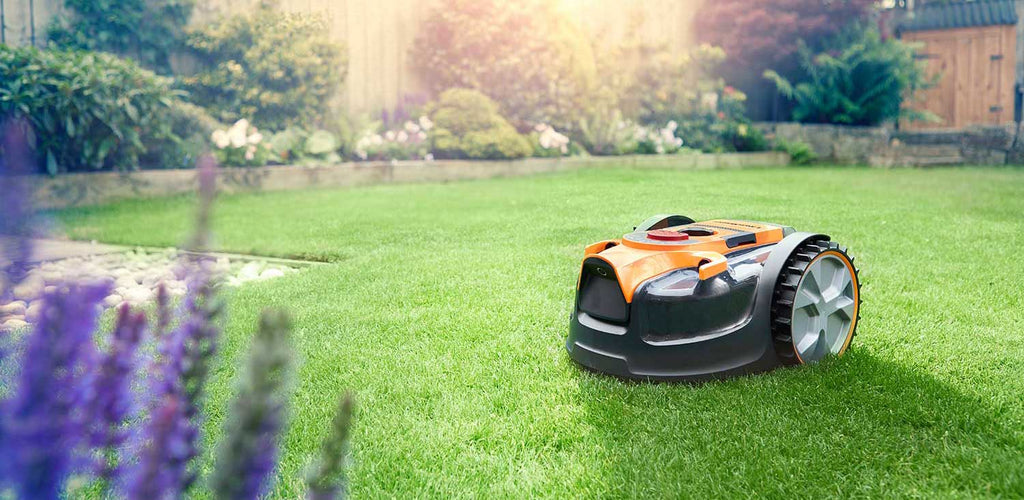 Mowing - Tip 1 for a thriving lawn