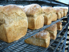 whole wheat bread