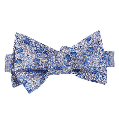 Silk Ties and Accessories for Him – Fox & Chave