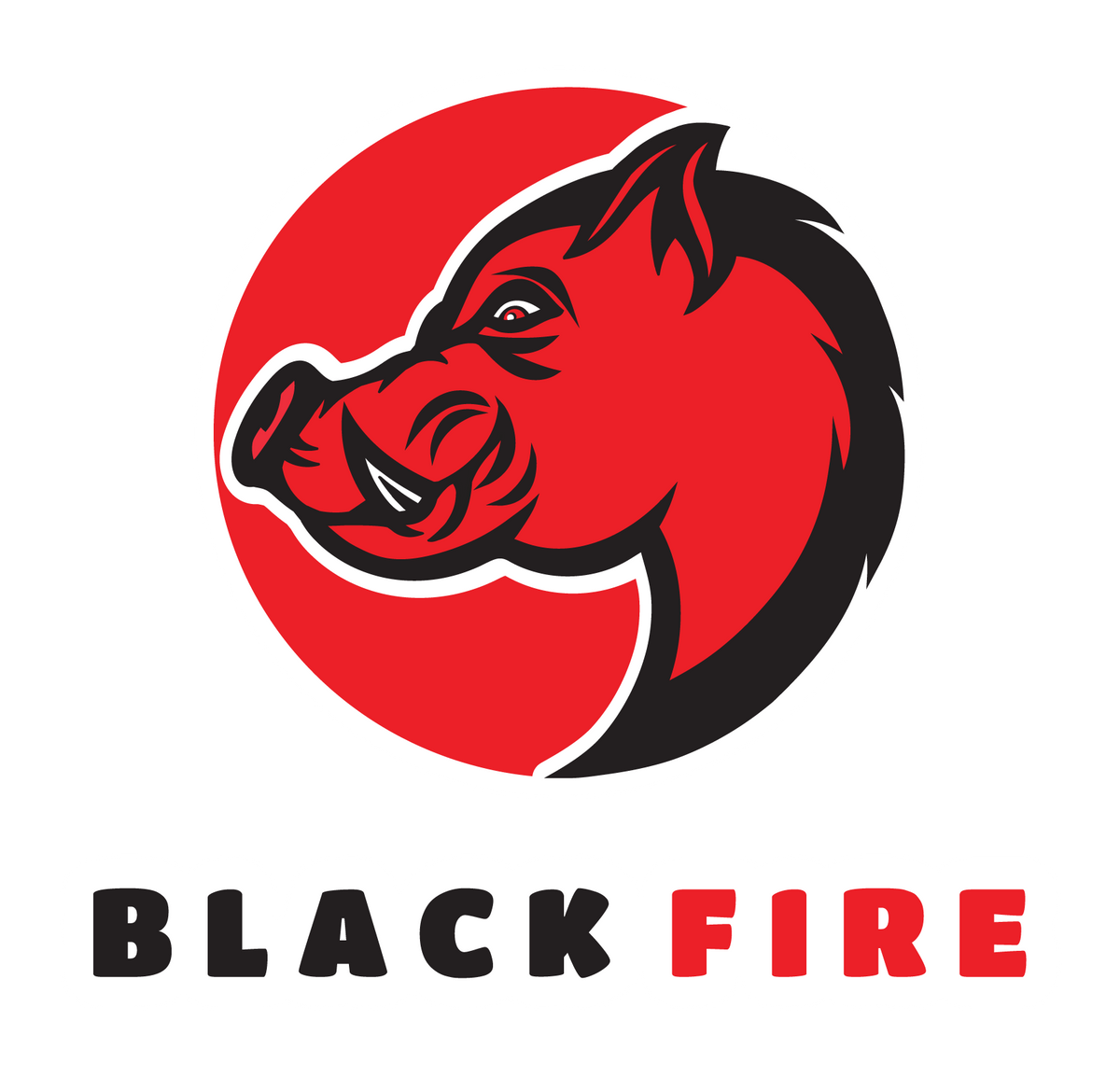Black Fire - Attractif à Sanglie