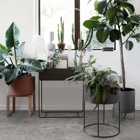 skøjte gardin Antagelser, antagelser. Gætte Our Favorite Modern Plant Pots + Ferm Living's Plant Box Collection– Batten  Home