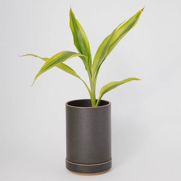 https://cdn.shopify.com/s/files/1/0051/0951/4304/products/Hasami_Pocelain_Small_PLanter_set_in_black_600x.jpg?v=1594592472