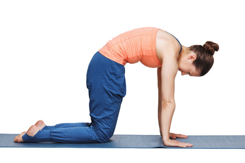 Marjariasana- Yoga The (in)Side Benefits