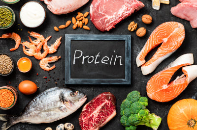 Protein - majisports