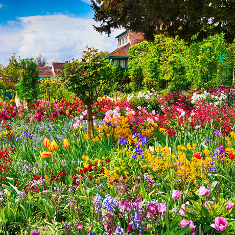 Spring, flowers, garden, sunny