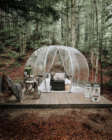 igloo in forest