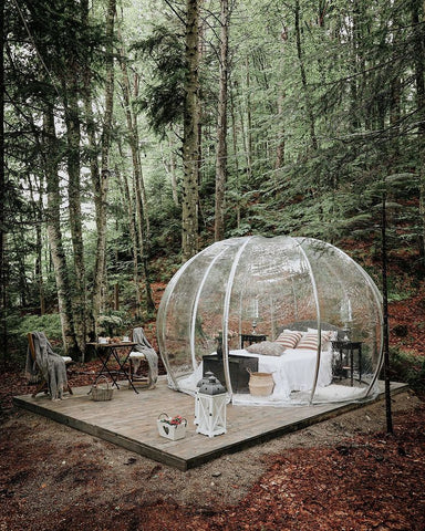 igloo in woods
