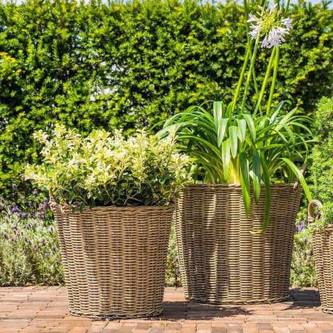Natural Polyrattan Lined Willow Planter