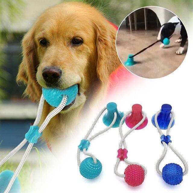 suction cup tug dog toy