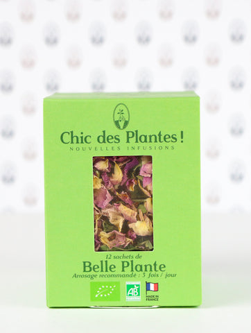 infusion belle plante