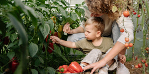 Child picking vegetables with mum