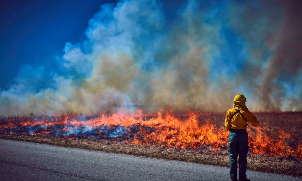 Why Firefighter Protective Gear Is So Important