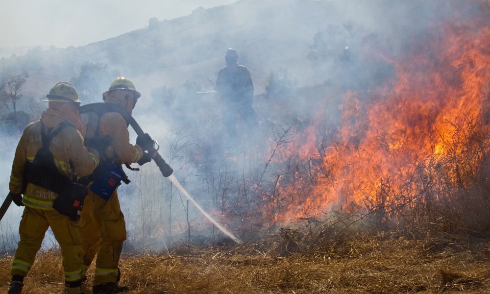 Which Survival Skills Do Firefighters Need To Know?