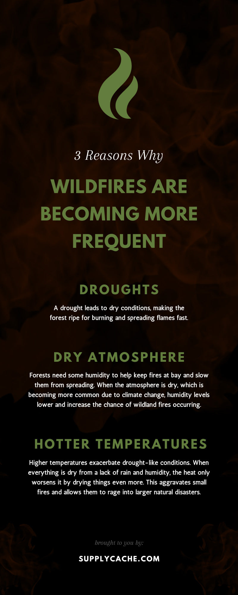 3 Reasons Why Wildfires Are Becoming More Frequent