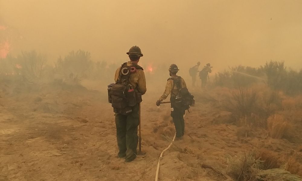 What To Know About Becoming a Wildland Firefighter