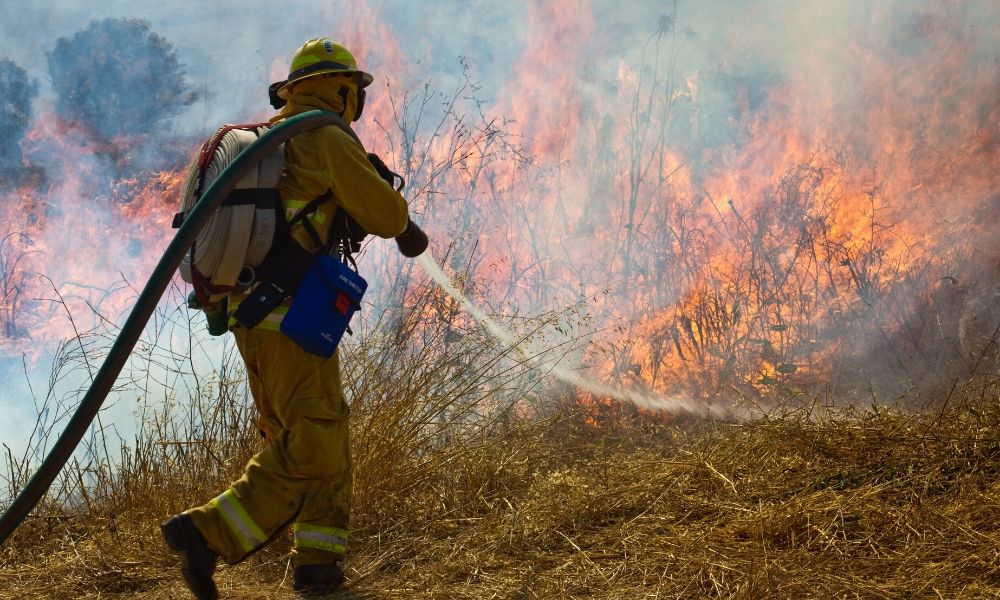 Wildland Firefighting Physical Demands And Training