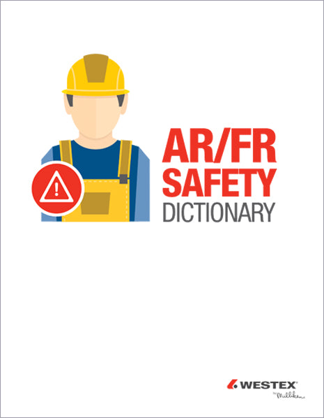 AR/FR Safety Dictionary