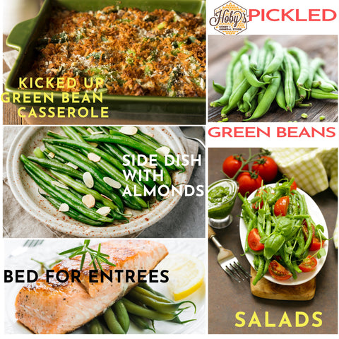 ways to use pickled dilled green beans dilly beans 