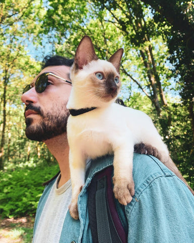 Car sitting on a mans shoulder