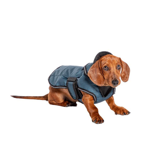 Danish design 2 in 1 dog coat with harness hole