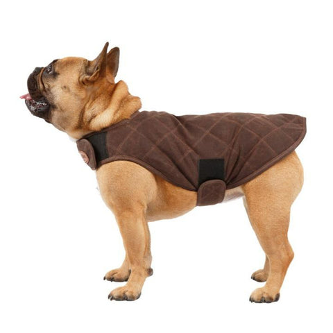Waxed quilted dog coat