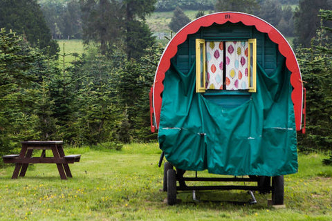 Glamping with Dogs