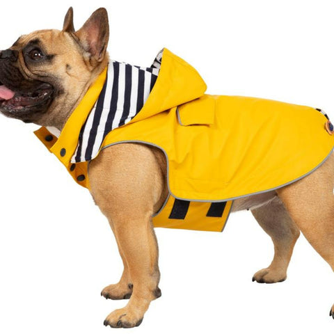 Trespaws Yellow Dog raincoat