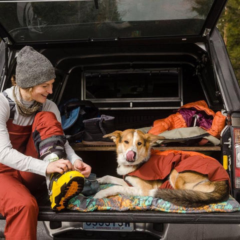 Hiking with dogs