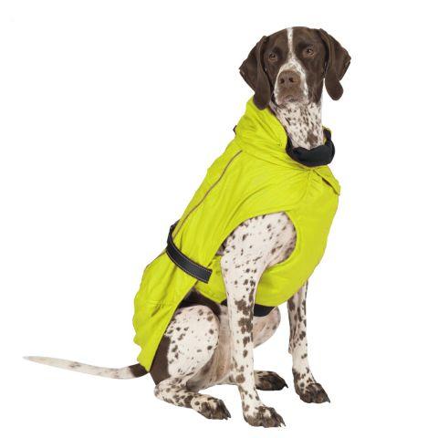 yellow blizzard dog raincoat