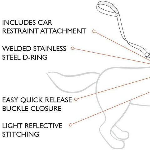 Car seat belt harness diagram