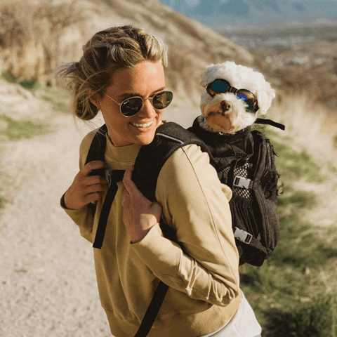 puppy carriers for walking