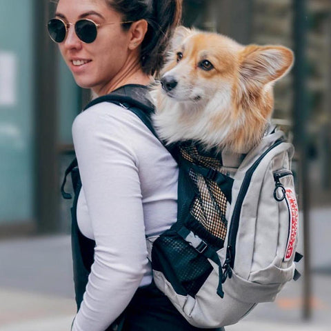Dog carrier rucksack