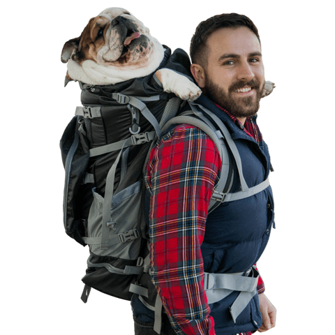 Dog carriers