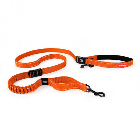 Orange Hands free dog leash 