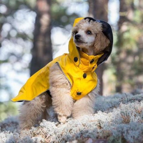 Rukka yellow dog coat