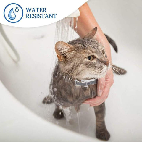 Water resistant cat flea collar