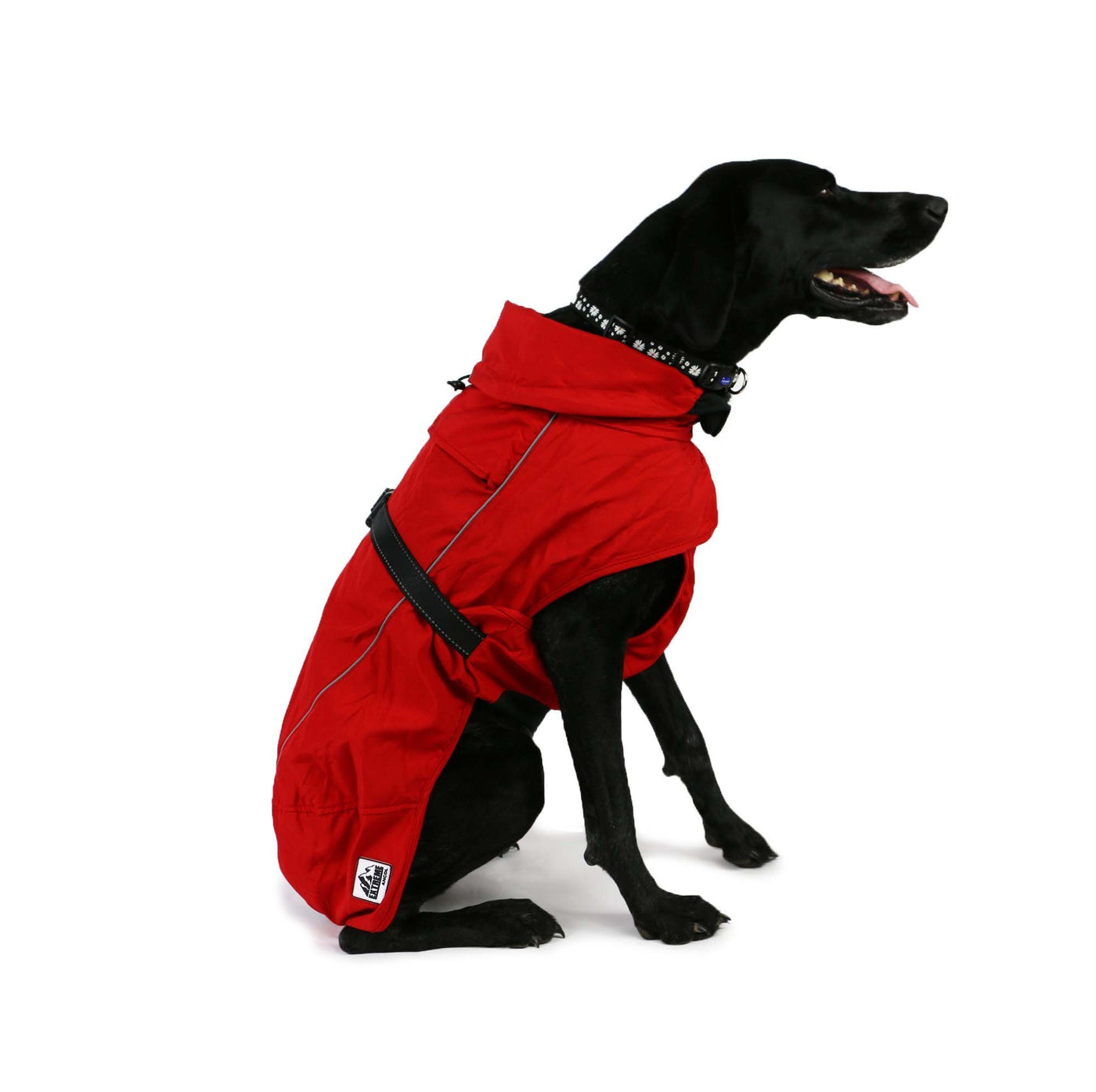 dog coat ancol