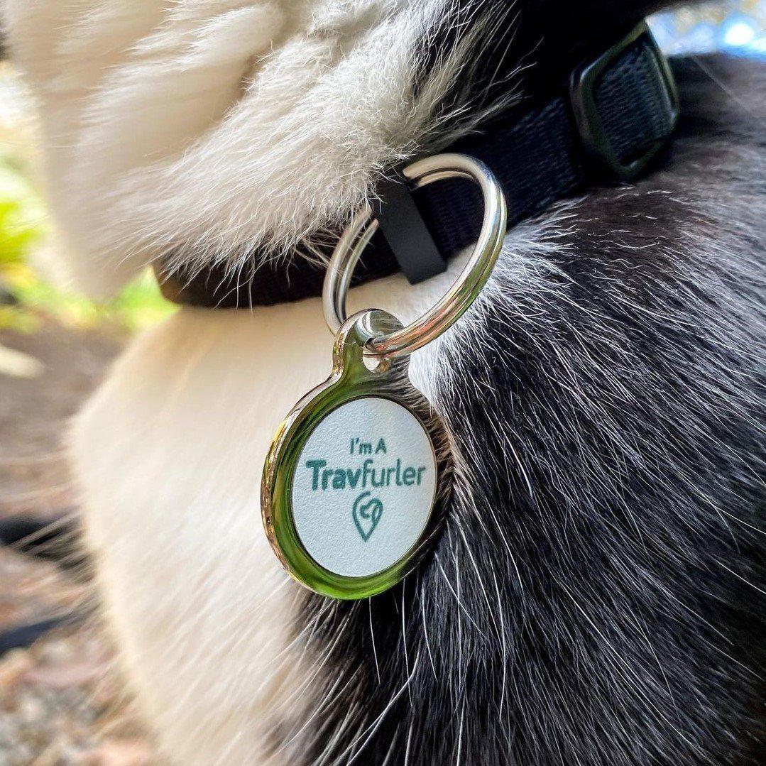 Stainless Steel Dog ID Tag - Large Paw - Silver Paw Pet Tags