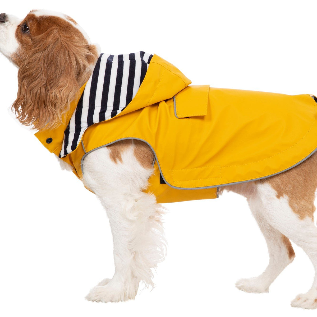 Trespaws Seadog Yellow Dog Coat with Hood – Travfurler