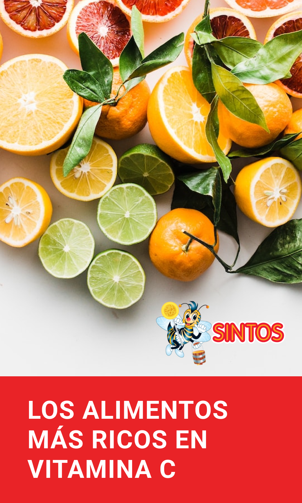 Los alimentos más ricos en Vitamina C | Blog PRONACEN