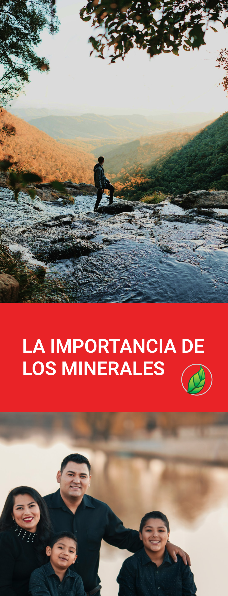 La importancia de los nutrientes minerales en la alimentación. | Blog PRONACEN