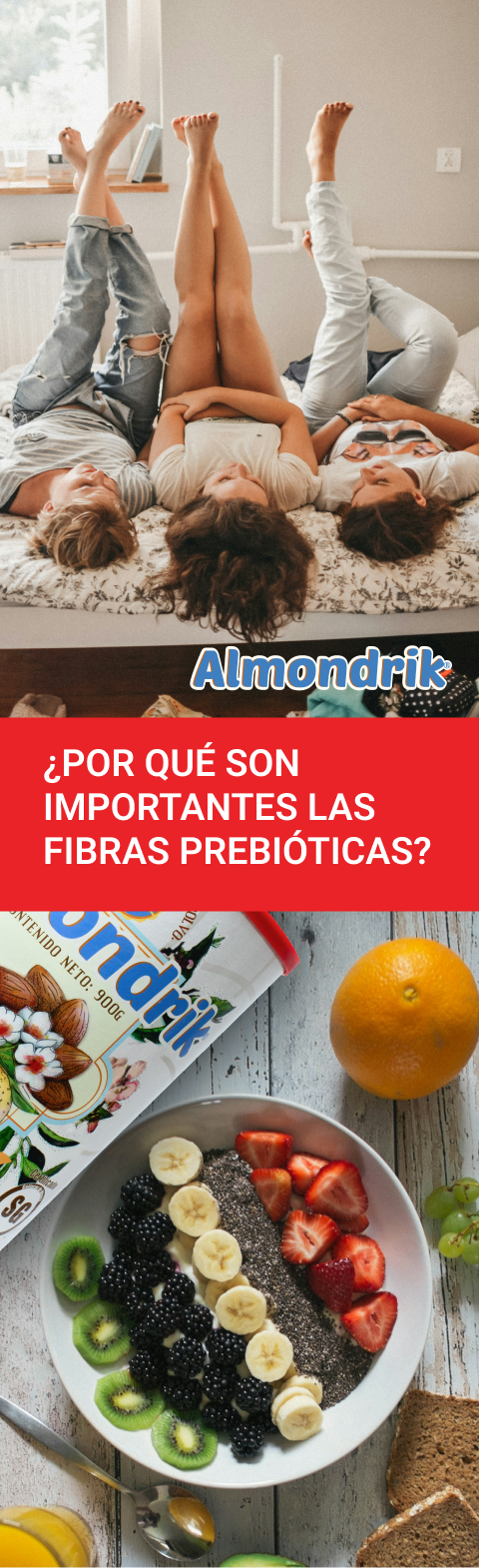 ¿Por qué son importantes las fibras prebióticas para el cuerpo? | Blog PRONACEN